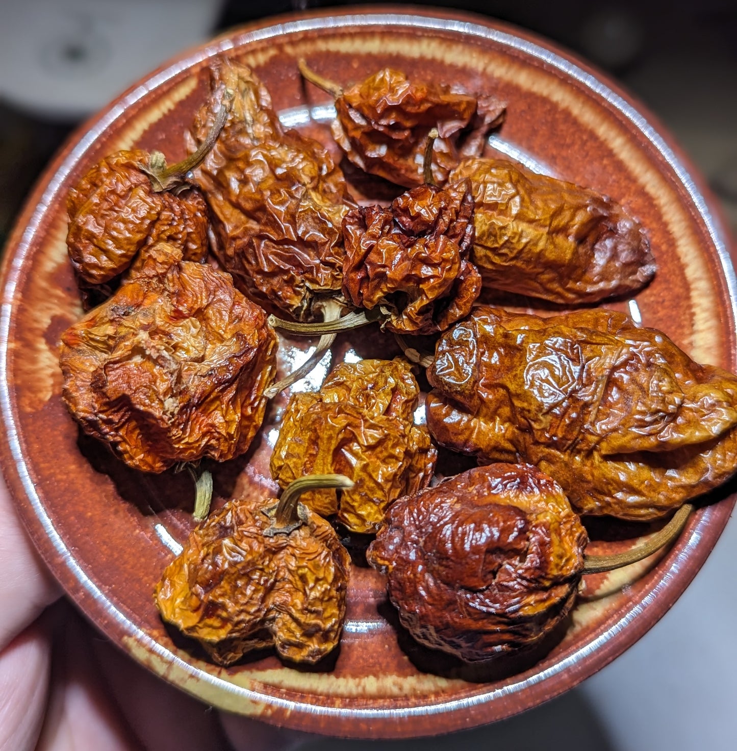 Dried Super Hot Chilies 0.75oz