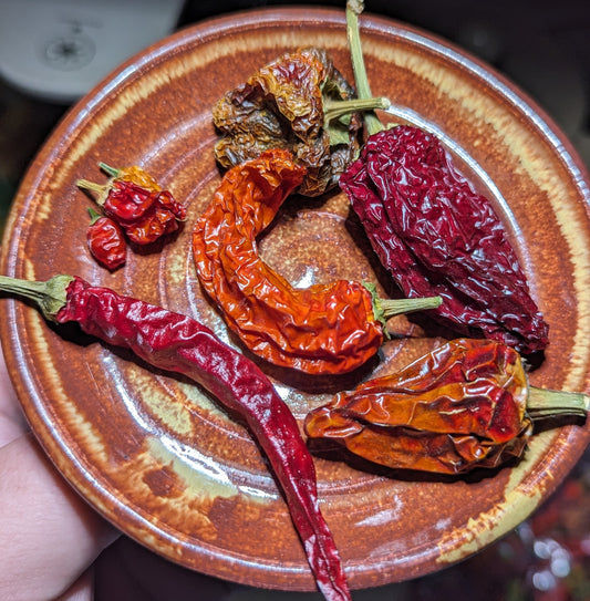 Dried Hot Chili Combo Pack 1oz