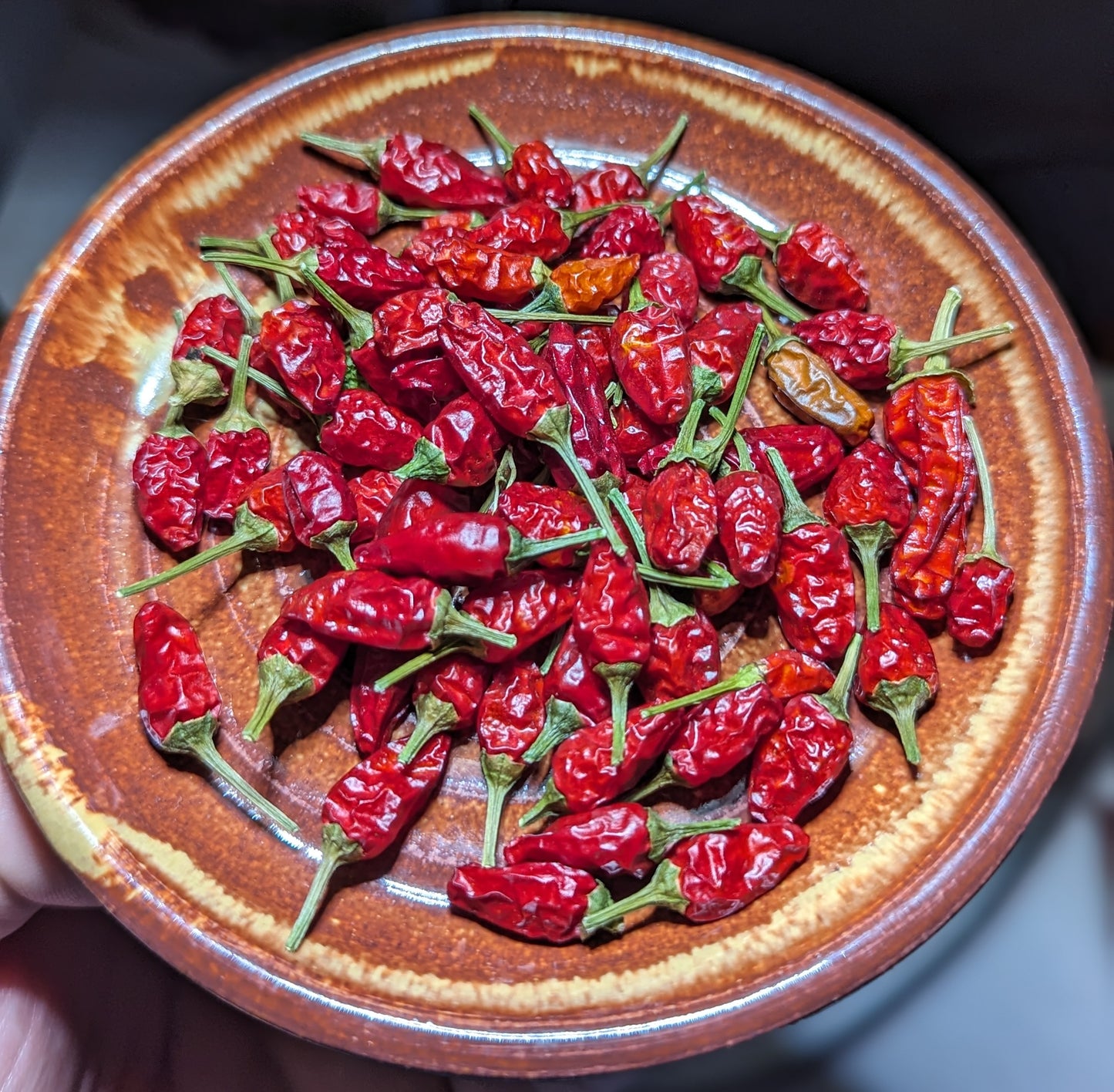 Dried Thai Bird Peppers 1.5oz